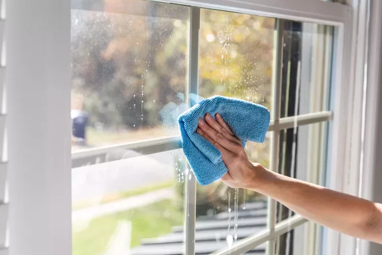 Cleaning window screens with specialized screen washer