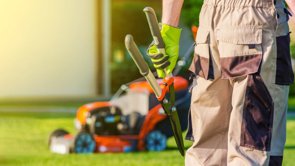 Mower and hand tools out for a lawn and yard care visit